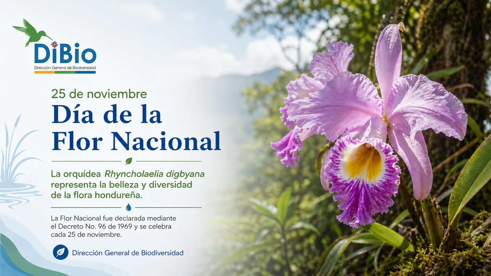 Día de la Flor Nacional
